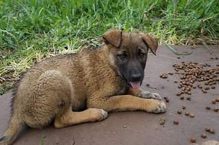 604 X 401 70.8 Kb -       .