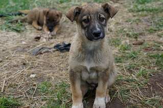 604 X 401 62.0 Kb -       .