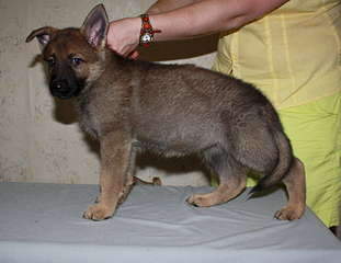 1920 X 1478 204.0 Kb    !