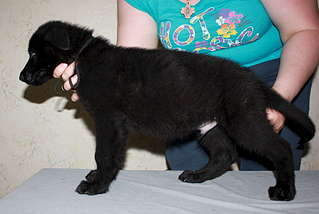 1920 X 1288 176.3 Kb    !