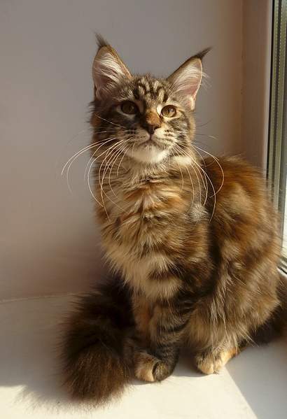 1257 X 1837 178.8 Kb 1051 X 1584 739.0 Kb 1277 X 977 567.1 Kb -   !