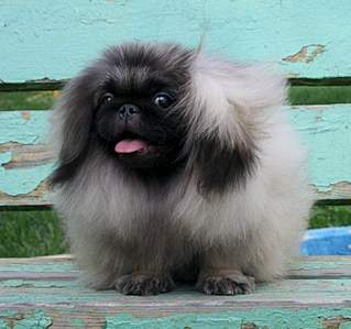 1293 X 1215 267.4 Kb 1936 X 1288 192.1 Kb 1485 X 1254 286.3 Kb   !