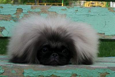 1293 X 860 202.7 Kb 1293 X 1215 267.4 Kb 1936 X 1288 192.1 Kb 1485 X 1254 286.3 Kb   !