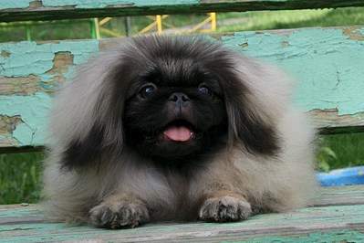 1294 X 861 227.2 Kb 1293 X 860 202.7 Kb 1293 X 1215 267.4 Kb 1936 X 1288 192.1 Kb 1485 X 1254 286.3 Kb   !