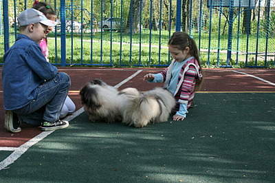 1936 X 1288 373.5 Kb   !