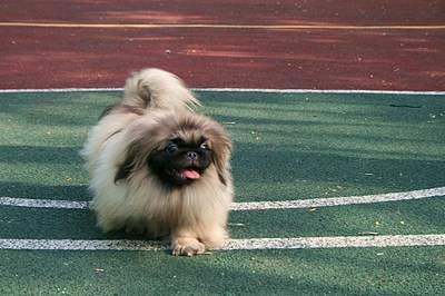 1936 X 1288 530.0 Kb 1936 X 1288 373.5 Kb   !