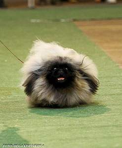 660 X 800 156.2 Kb 785 X 783 160.8 Kb   !