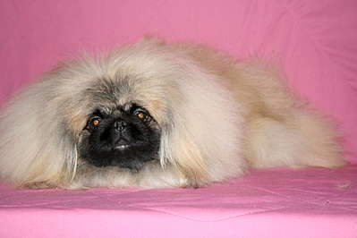 1920 X 1280 137.6 Kb   !