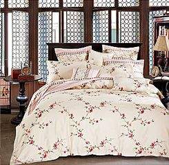 590 X 576 126.7 Kb 750 X 595 150.6 Kb 636 X 700 100.6 Kb   .   .   , ,   .