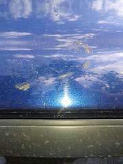 1080 X 1440 167.2 Kb 1080 X 1440 154.3 Kb 1920 X 1440 238.9 Kb 1080 X 1440 147.4 Kb 1080 X 1440 208.5 Kb    (  ). 