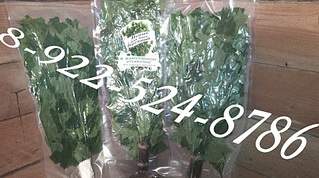 955 X 533 194.9 Kb ������ ��������� ������ � �������