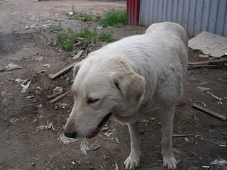 2048 X 1536 659.8 Kb 2048 X 1536 669.0 Kb 2048 X 1536 669.4 Kb 2048 X 1536 647.8 Kb 2048 X 1536 669.9 Kb      