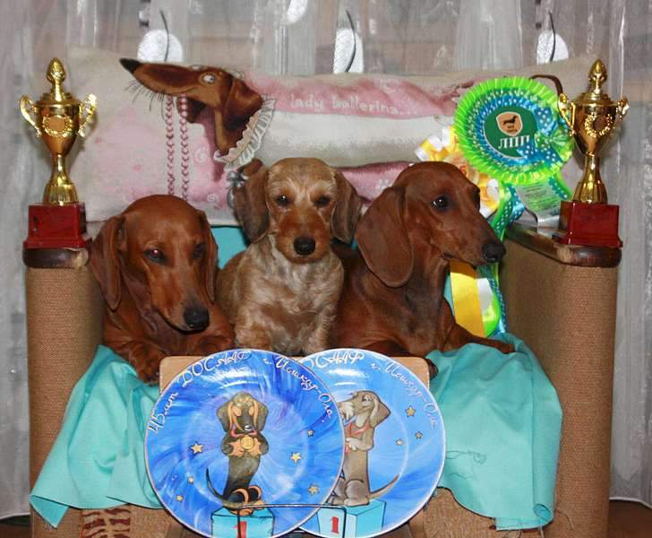 1920 X 1582 271.0 Kb   