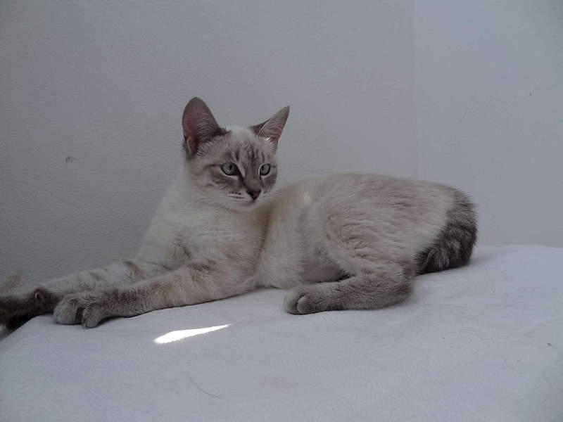 1920 X 1440 140.4 Kb 1920 X 1440 135.4 Kb   