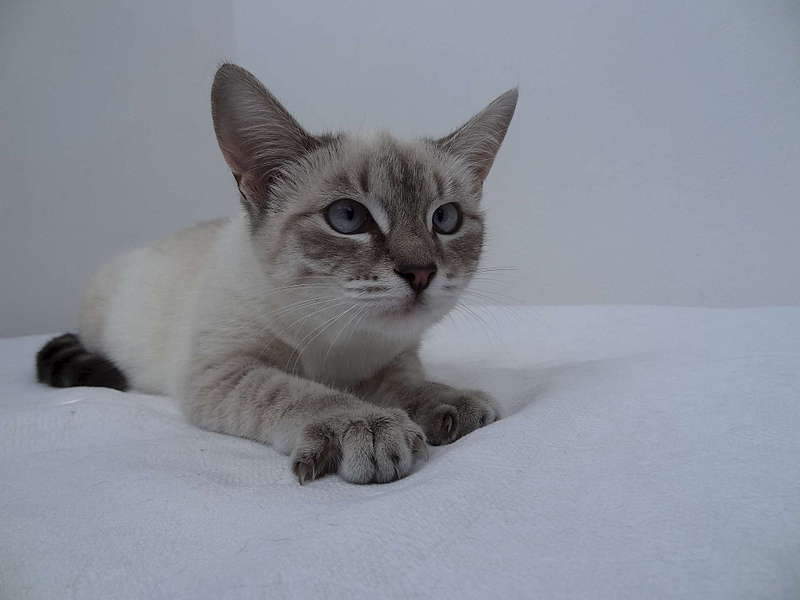 1920 X 1440 149.1 Kb 1920 X 1440 140.4 Kb 1920 X 1440 135.4 Kb   