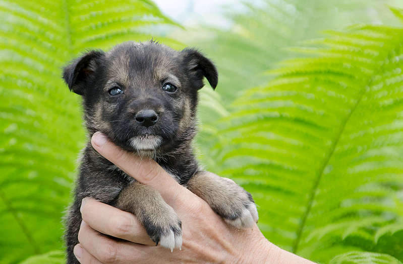 1920 X 1262 218.6 Kb Крохотный позитивчик в добрые руки.