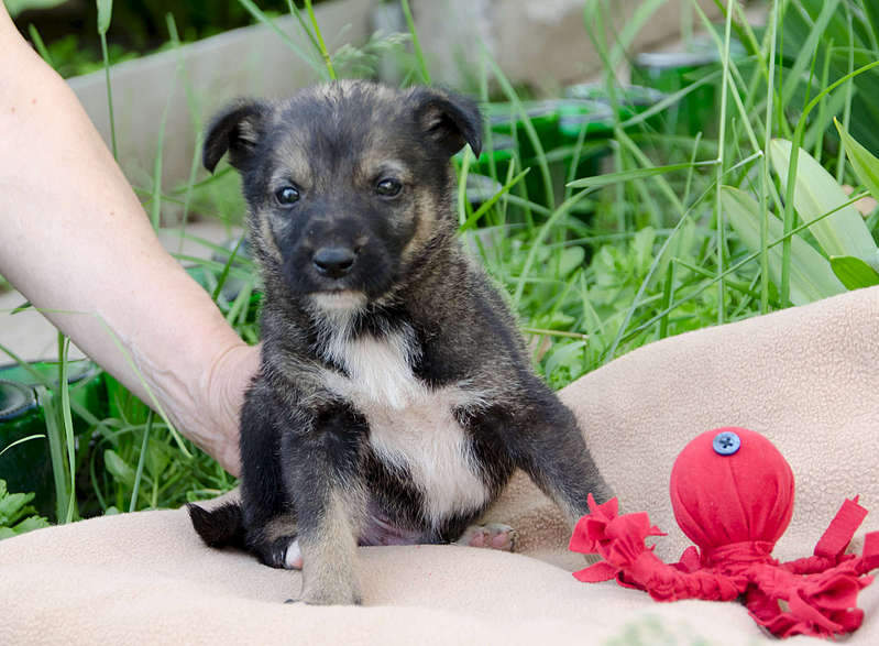 1920 X 1410 294.6 Kb 1920 X 1454 251.4 Kb 1920 X 1262 218.6 Kb     .