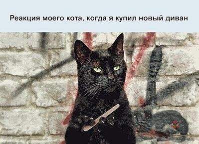 500 X 362  42.2 Kb  ''   