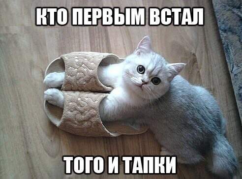 492 x 364 Улыбнемся?
