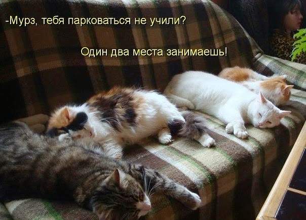 604 x 435 Улыбнемся?