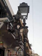 1920 X 2560 299.3 Kb       