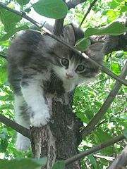 768 X 1024 140.7 Kb 768 X 1024 122.4 Kb      ( )  