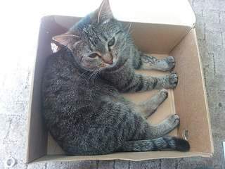 604 X 453 65.1 Kb    - 8     .