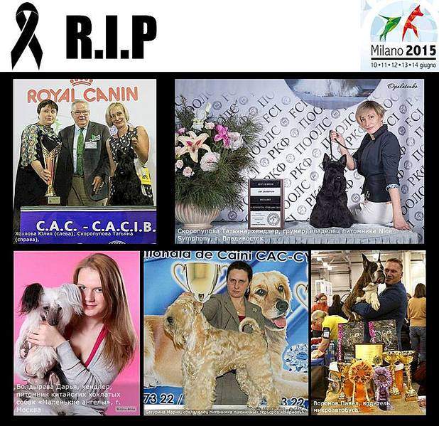 800 X 776 120.5 Kb    : 6 , 19 .......