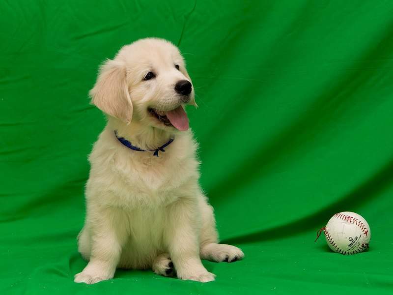 1280 X 960 138.8 Kb   !