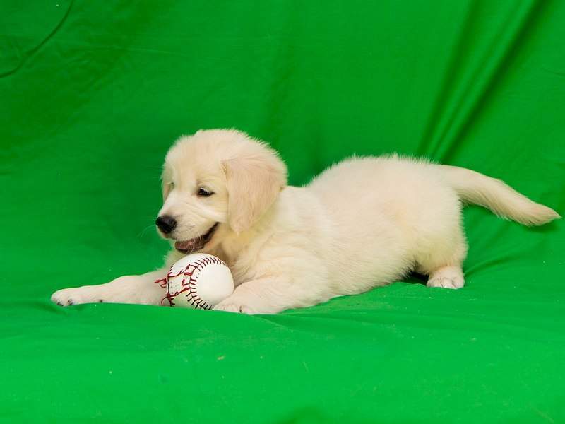 1280 X 960 126.4 Kb 1280 X 960 120.1 Kb 1280 X 960 138.8 Kb   !