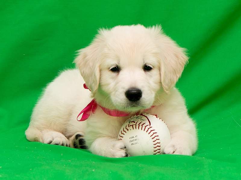 1280 X 960 165.8 Kb 1280 X 960 126.4 Kb 1280 X 960 120.1 Kb 1280 X 960 138.8 Kb   !