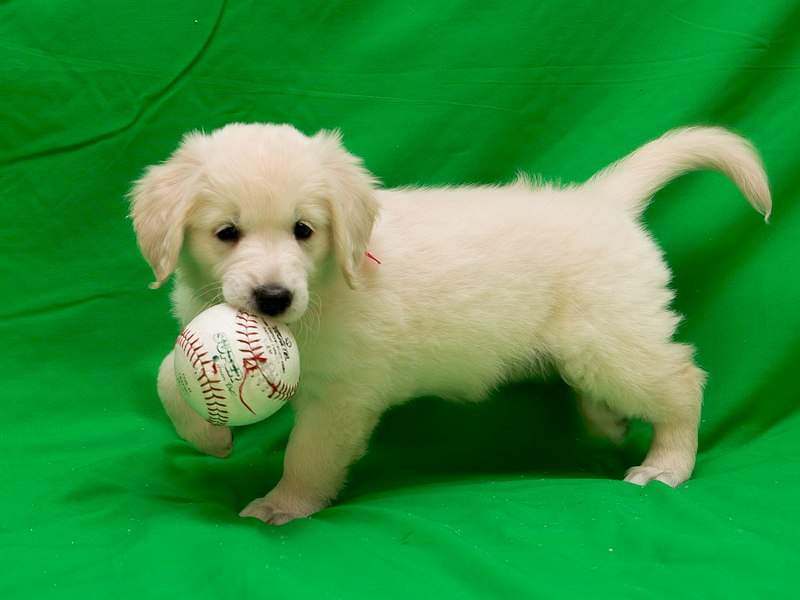 1280 X 960 148.8 Kb 1280 X 960 165.8 Kb 1280 X 960 126.4 Kb 1280 X 960 120.1 Kb 1280 X 960 138.8 Kb   !