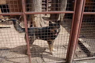 1920 X 1276 480.8 Kb  ,   ,     !