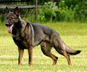 599 X 497  46.9 Kb    !