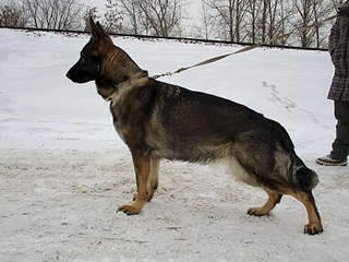 1920 X 1440 308.6 Kb    !