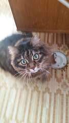 1920 X 3413 251.8 Kb    .