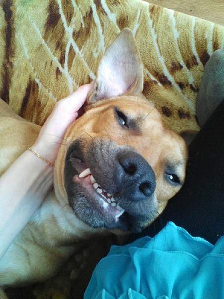 600 X 800 135.8 Kb 600 X 800  81.0 Kb !   (   