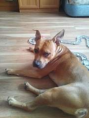 600 X 800 116.5 Kb !   (   