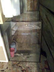 1200 X 1600 150.1 Kb 1200 X 1600 102.1 Kb 1600 X 1200 135.7 Kb ������, ��������� � ������� ��� ���, �����, � ������. ������(����)