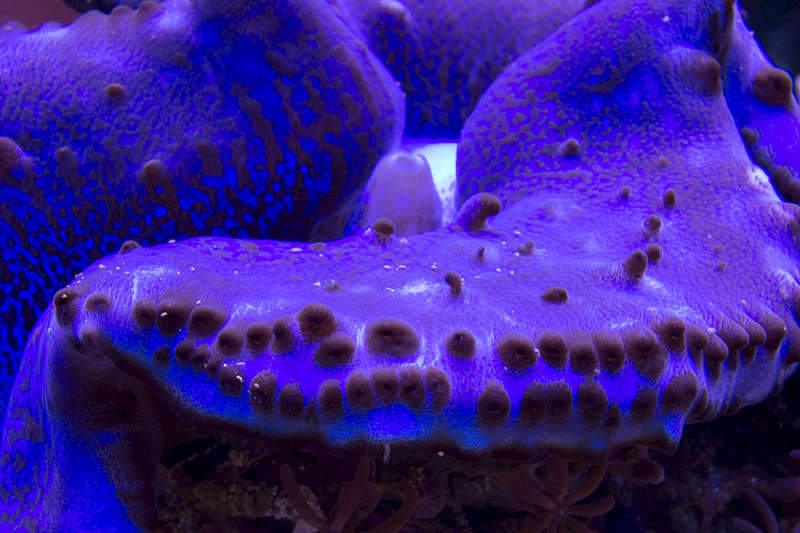 1920 X 1280 296.7 Kb Глубокое синее море.