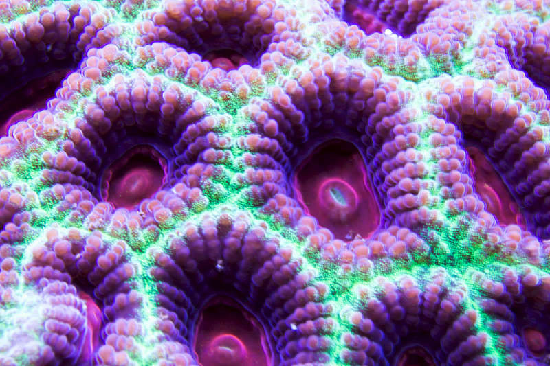 1920 X 1280 391.5 Kb 1920 X 1280 296.7 Kb Глубокое синее море.