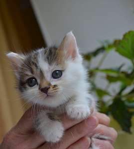 1920 X 2137 183.9 Kb      