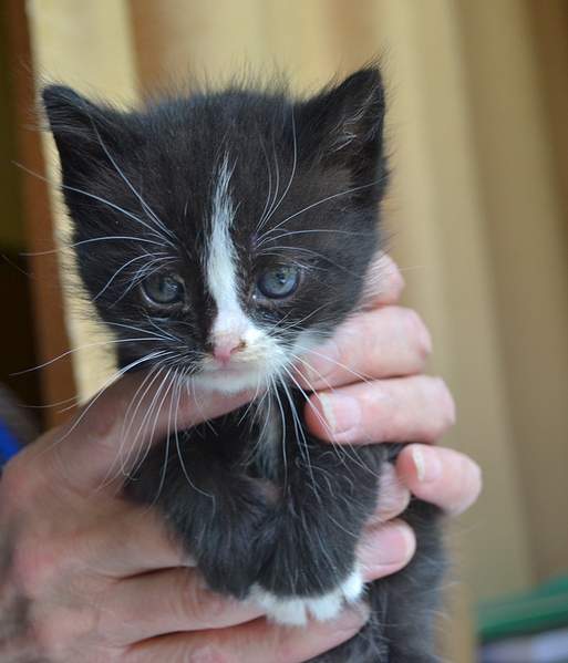 1804 X 2108 982.6 Kb      