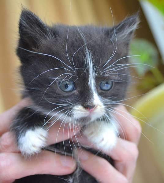 1920 X 2148 222.2 Kb      