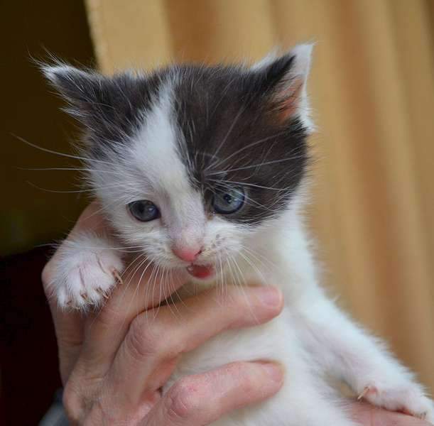 1920 X 1884 182.1 Kb      