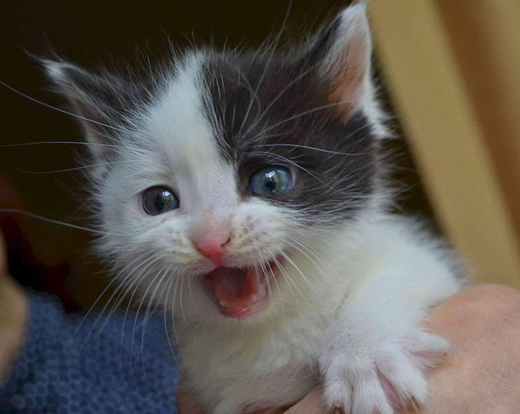 1920 X 1529 165.6 Kb      