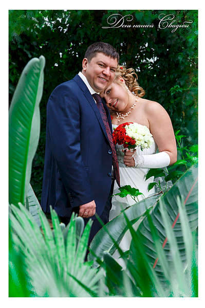 1920 X 2884 492.6 Kb    .