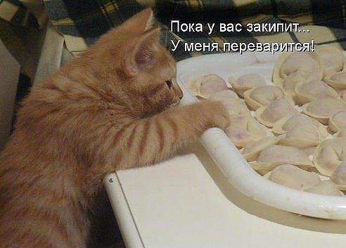 492 x 353 Улыбнемся?
