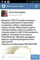 320 X 480  45.0 Kb Найденные и потерянные животные!