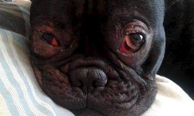 604 X 362  22.2 Kb   !